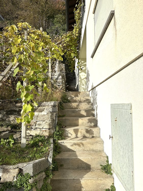 Casa bifamiliare 3.5 + 4.5 - Monte Carasso 2