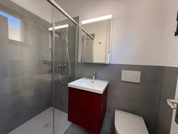 Spaziosa casa unifamiliare di 1.5 locali a Bellinzona 7