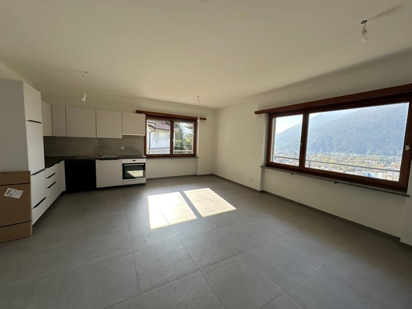 Appartamento 1.5 locali con camino e vista panoramica a Bellinzona 3