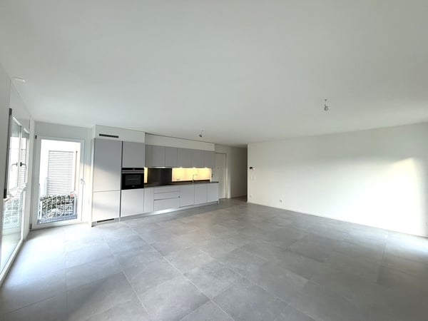Splendido 2.5 locali a Claro, 3 box in autorimessa inclusi! 3