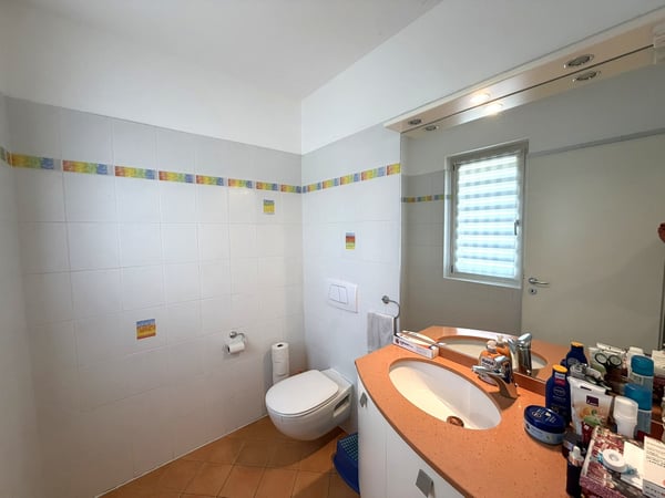 Villa bifamiliare dalle dimensioni generose 13