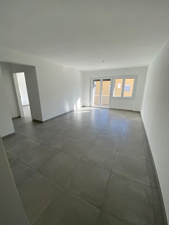 Luminoso appartamento di 3.5 locali con terrazza a Sementina 7