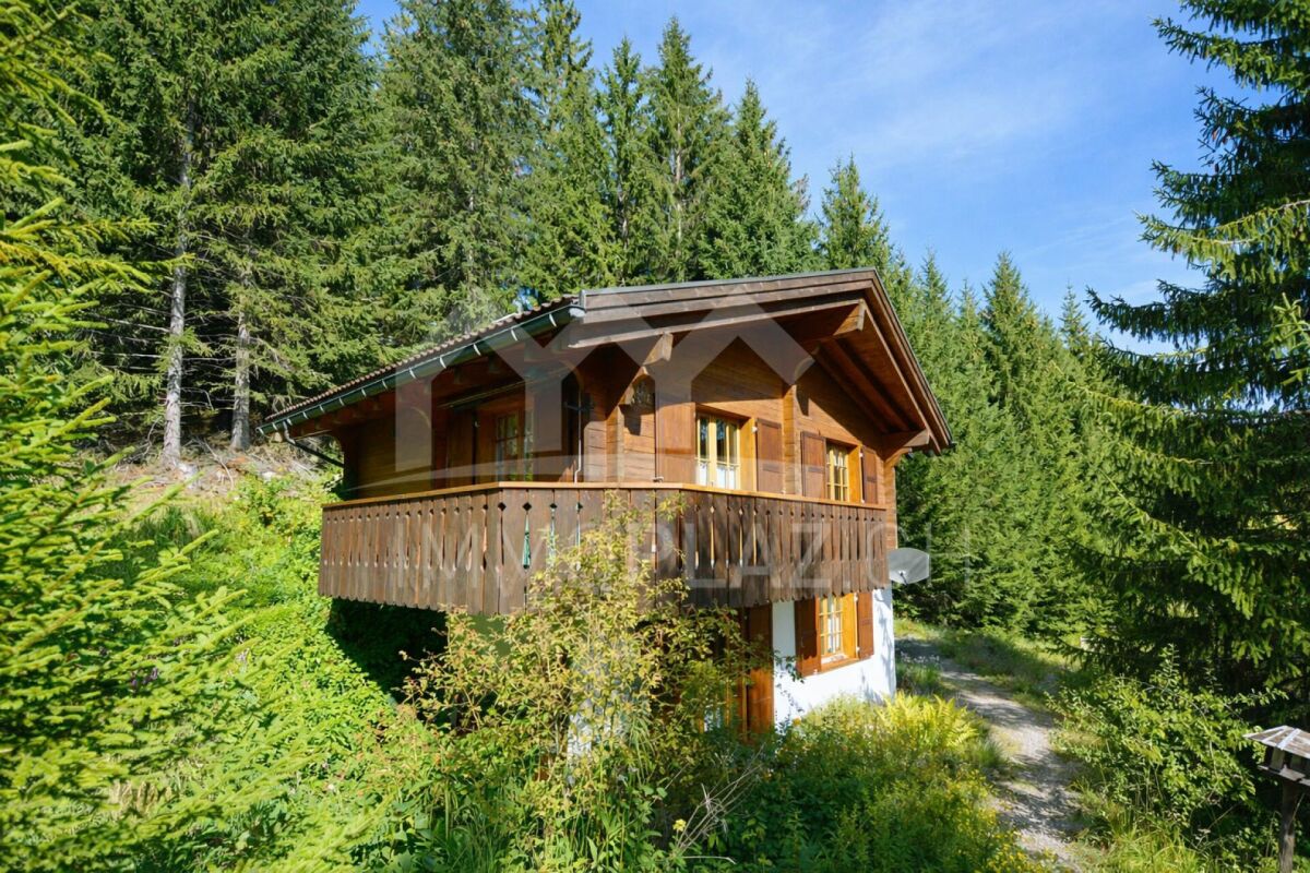 Charmantes Ferienchalet im Skigebiet