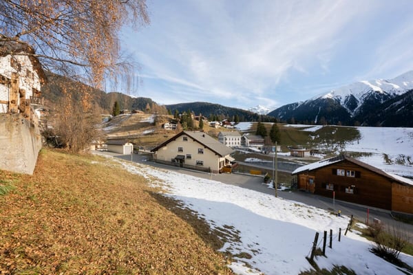 Bauland für Erstwohnungen mit Stallgebäude 3