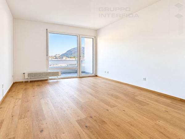 LUMINOSI APPARTAMENTI 1.5 LOCALI RISTRUTTURATI 2