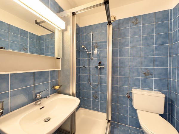 APPARTAMENTO 4.5 LOCALI CON AMPIA TERRAZZA E PARZIALE VISTA LAGO 8
