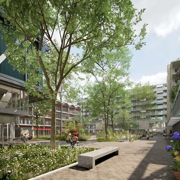 Bloomville Regensdorf – Ihr neuer Standort mit Zukunft 1