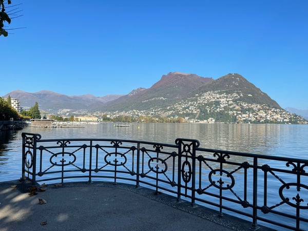 Lugano centro - Confortevole app.to 1 locali con giardino a due passi dal lungolago 2