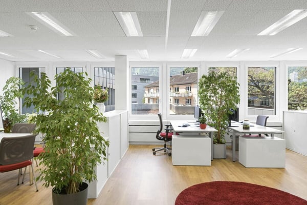 Friesenberg75 - Flexibel. Kreativ. Erfolgreich. 6