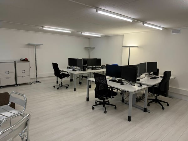 Rautistrasse 12 - Ausgebaute Büroflächen an attraktiver Lage 3