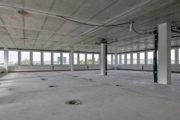 Friesenberg 75: Aussichtsreiches Arbeiten für mehr Erfolg 2