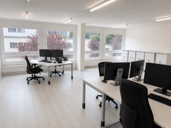 Rautistrasse 12: Ausgebautes Büro an attraktiver Lage 10