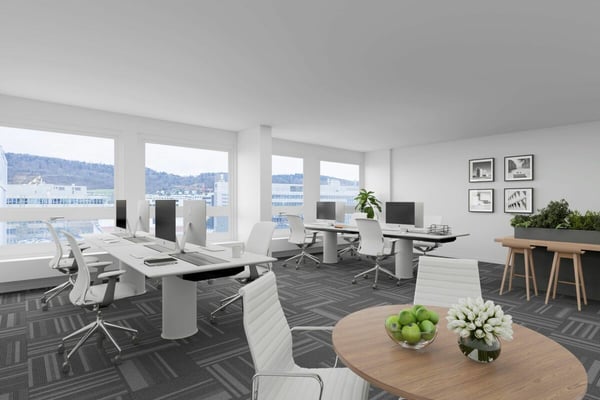 Rautistrasse 12: Das Business Center für Ihren Erfolg 9