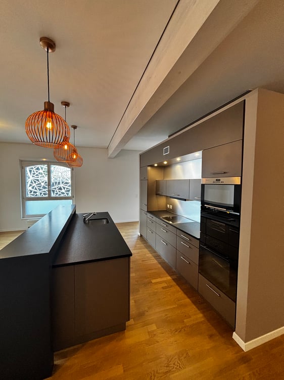 Magnifique loft au coeur de Lausanne 2