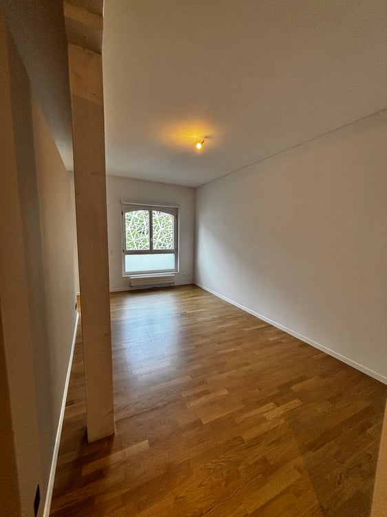 Magnifique loft au coeur de Lausanne 8