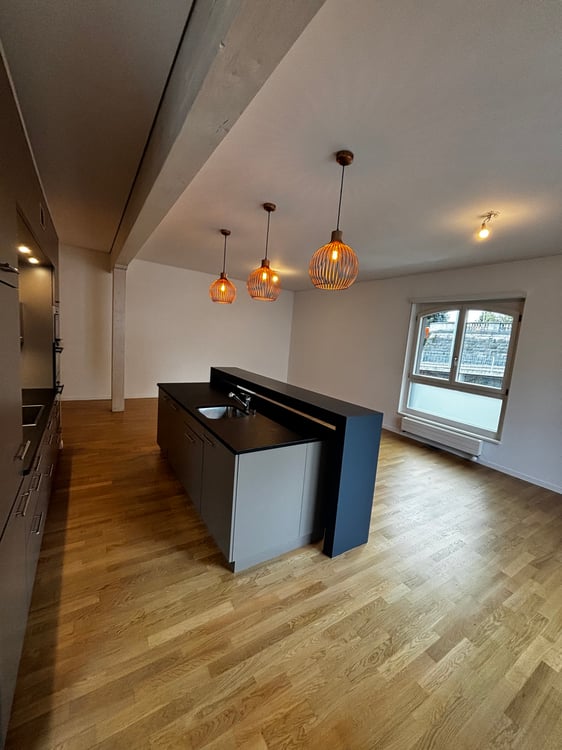 Magnifique loft au coeur de Lausanne 6