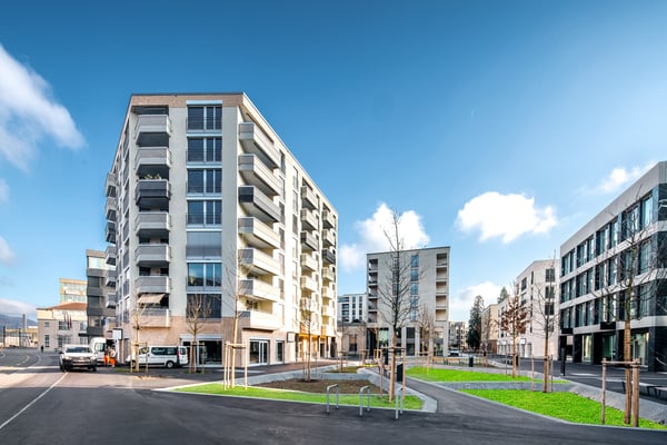 Sonnige Aussichten im Aeschbachquartier 3