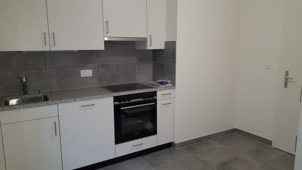 Eaux-Vives, beau 2 pièces, lumineux, cuisine équipée 6