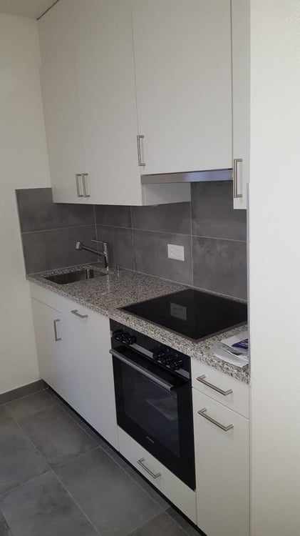Eaux-Vives, beau 2 pièces, lumineux, cuisine équipée 4