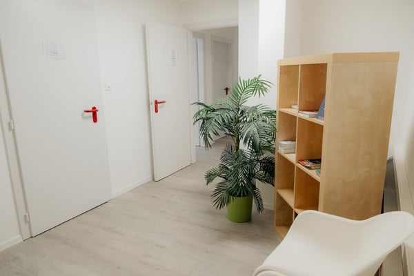 Bureaux au centre-ville de Nyon 6