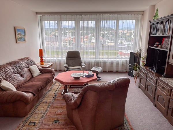 Appartement 1.5 pièces avec vue panoramique 2