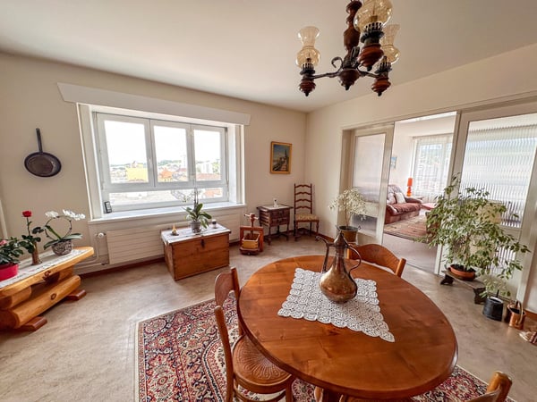 Appartement 1.5 pièces avec vue panoramique 1