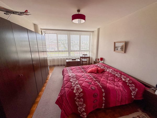 Appartement 1.5 pièces avec vue panoramique 3