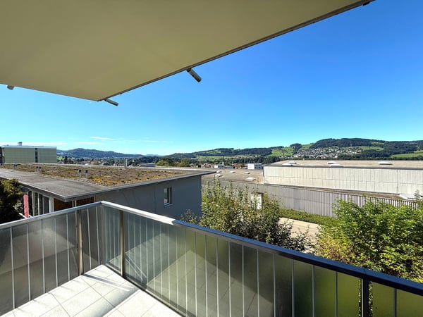 1.5 Zimmer - 140m² (197m² ) Hobbyraum, Tiefgarage + Aussenparkplatz, zwei Balkone, Waschküche usw. 14