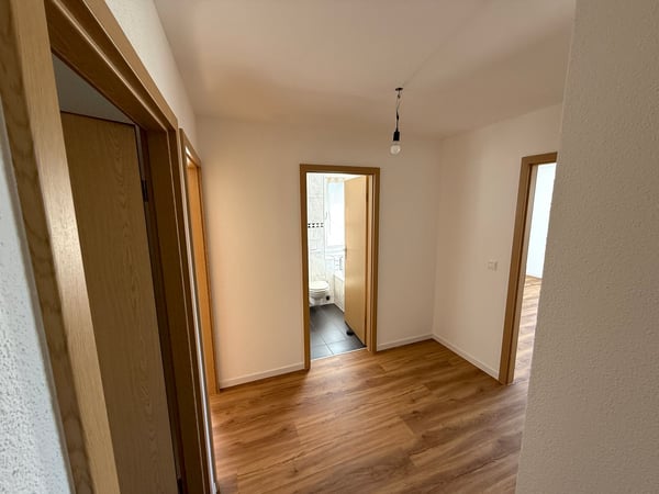 1.5 Zimmer - 140m² (197m² ) Hobbyraum, Tiefgarage + Aussenparkplatz, zwei Balkone, Waschküche usw. 6