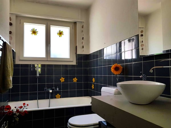 Einfamilienhaus an einzigartiger, unverbaubarer Lage in Rothrist 5