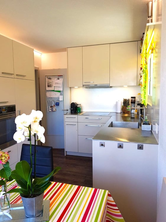 Einfamilienhaus an einzigartiger, unverbaubarer Lage in Rothrist 7