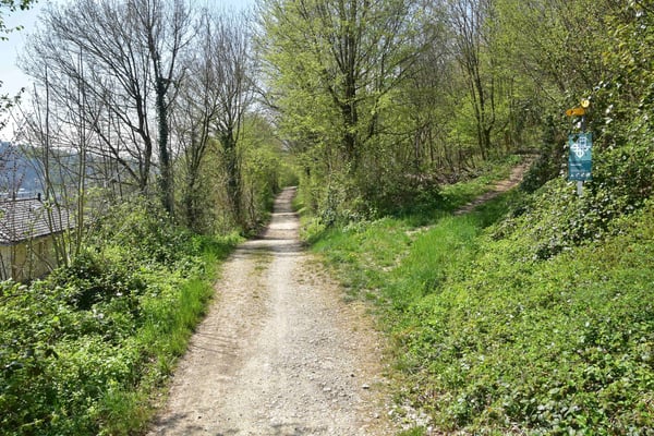 Bauland in Pieterlen 3