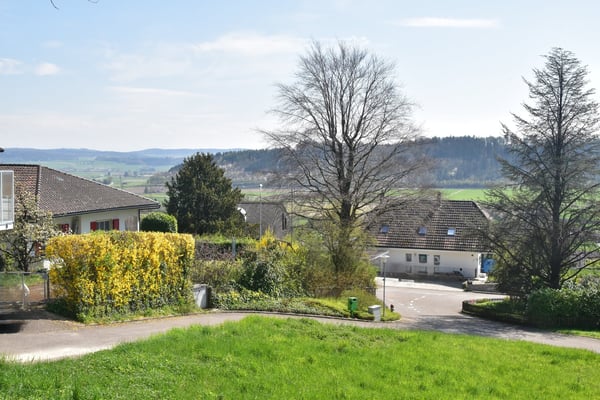 Bauland in Pieterlen 5