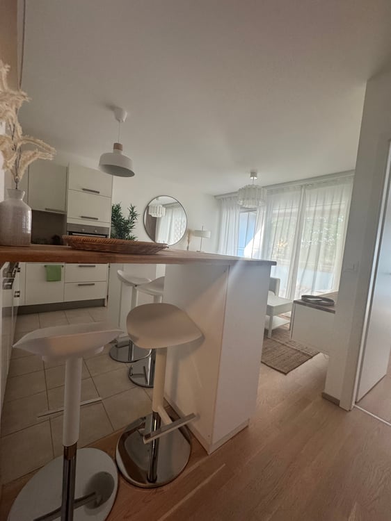 Appartement moderne avec vue à Nyon - Minergie et proche du lac 7