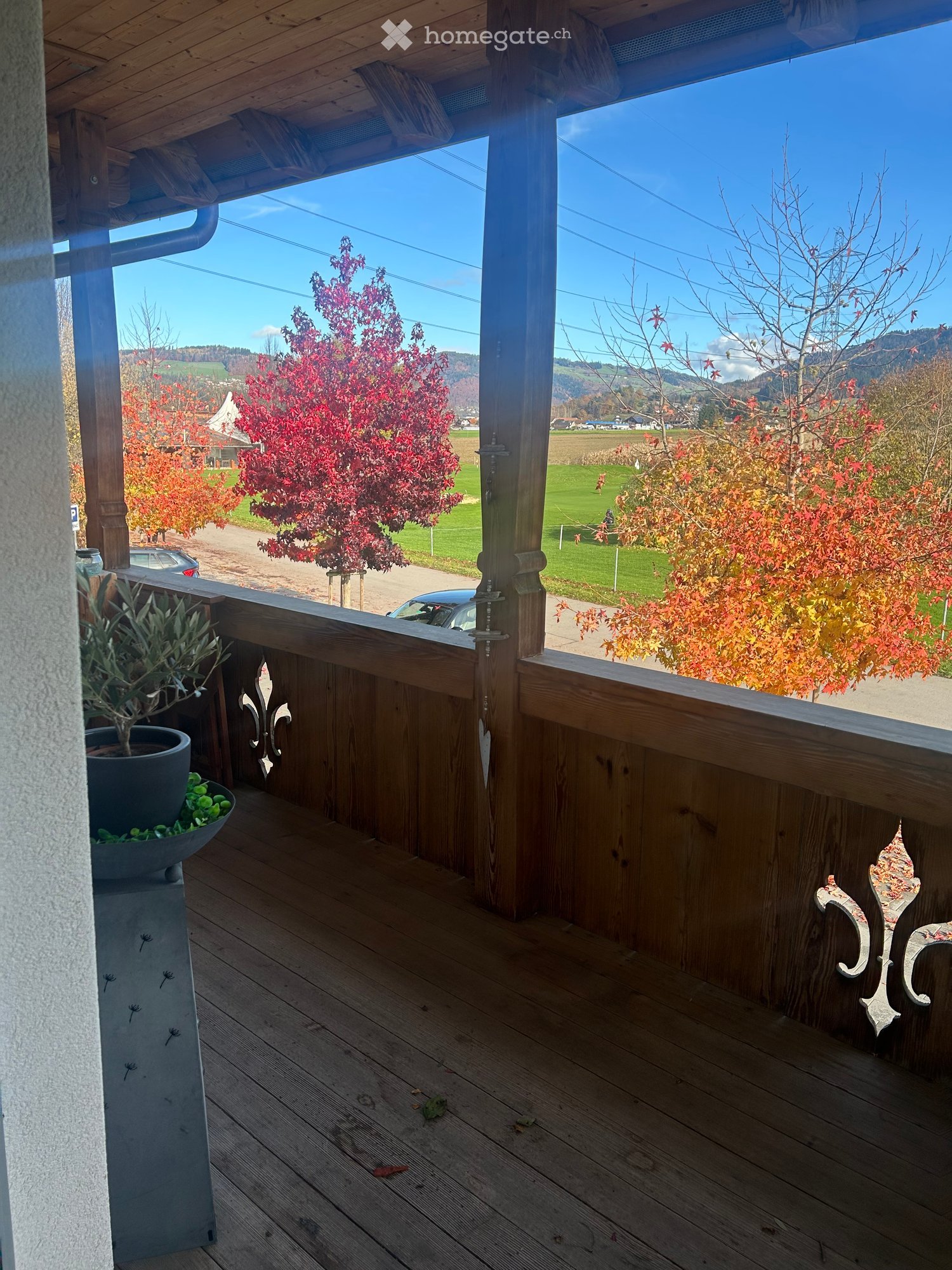 wooden floor, wooden railings, glass railings, potted plant, open balcony, countryside view