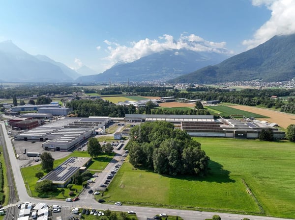 Commerce/Industrie à Aigle 1