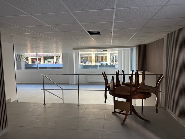 Surface commercial à Genève 4