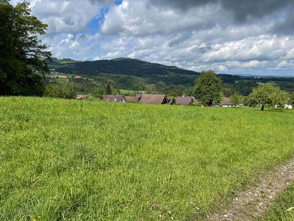 Traumhaftes Bauland inmitten der Natur in Wittenbach 3