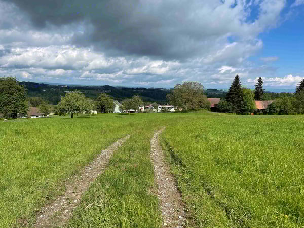 Traumhaftes Bauland inmitten der Natur in Wittenbach 5