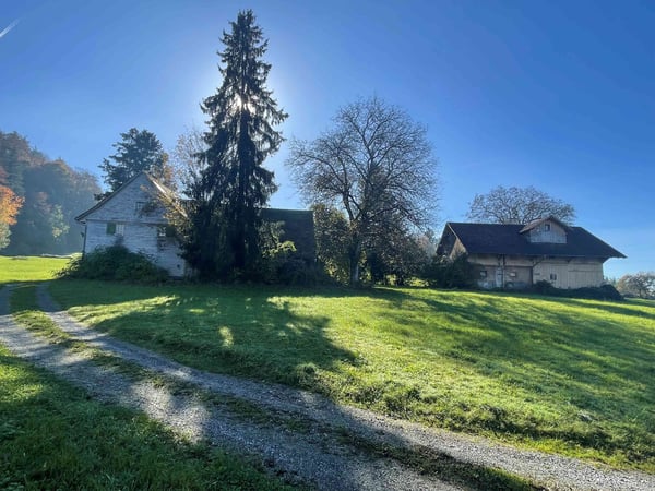 Traumhaftes Bauland inmitten der Natur in Wittenbach 2