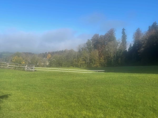 Traumhaftes Bauland inmitten der Natur in Wittenbach 6