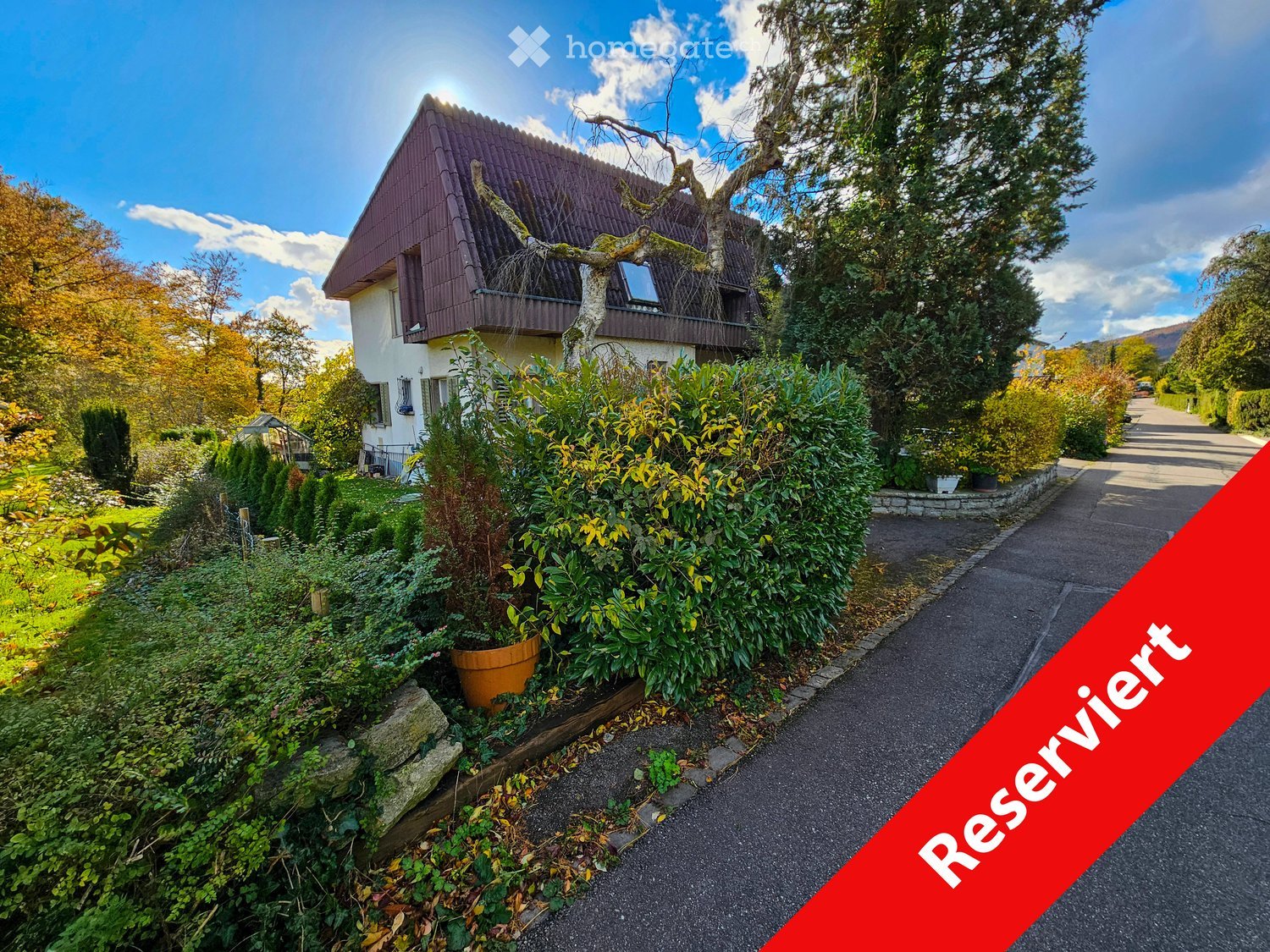 modern house, brown roof, windows, garage, garden, paved driveway