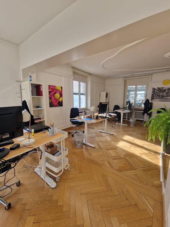 Repräsentative Büroräume von klein bis gross in Zentrumsnähe 2