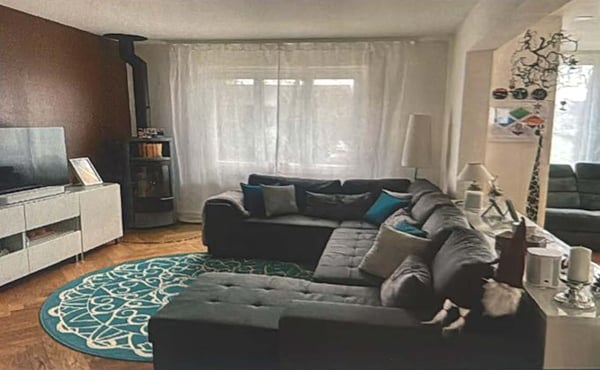 Freistehendes Einfamilienhaus im Mühlefeldquartier Biel 4