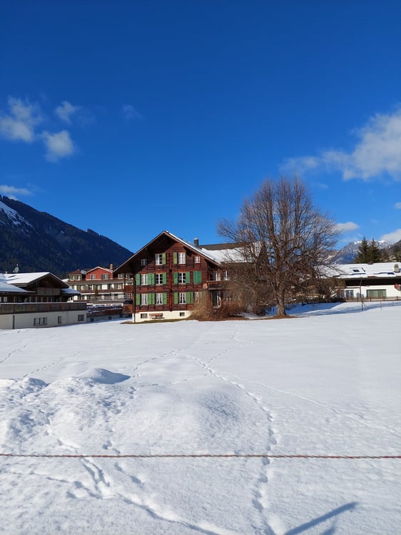 Traumhaftes Bauland mit Bergblick an der Lenk im Simmental 2