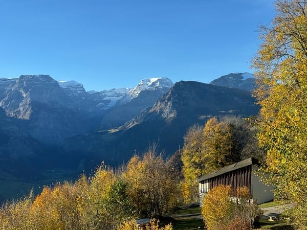 Gemütliche 1.5-Zimmer-(Ferien)-Wohnung in Braunwald -autofrei- mit fantastischem Panoramablick 22