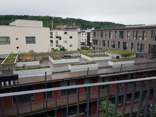 Moderne Bürofläche an zentraler Lage – Baslerstrasse 15, Rheinfelden (150 m²) 2