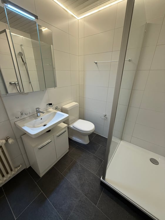 Wohnung direkt am See in Rorschach mit traumhafter Seesicht 4