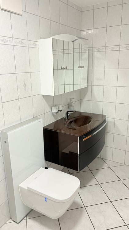 Grosszügige 1.5-Zimmer-Wohnung mit Balkon und schöner Aussicht in Ried-Brig 5