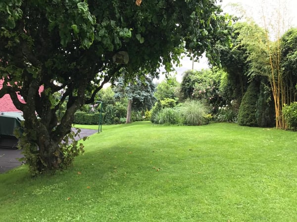 Historische Villa mit grosszügigem Garten in Winterthur 9